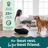 image:imageFurHaven Replacement Dog Bed Cover Long Faux Fur for Calming Cuddlers Machine Washable Customizable Filling Jumbo XL Faux Fur TaupeLong Faux Fur Gray