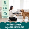 image:imageFurHaven Replacement Dog Bed Cover Long Faux Fur for Calming Cuddlers Machine Washable Customizable Filling Jumbo XL Faux Fur TaupeLong Faux Fur Mist Gray