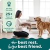 image:imageFurHaven Replacement Dog Bed Cover Long Faux Fur for Calming Cuddlers Machine Washable Customizable Filling Jumbo XL Faux Fur TaupeLong Faux Fur Taupe