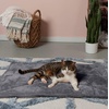 image:imageFurHaven ThermaNAP Self Warming Cat Mat Dog Bed for Crates with SelfWarming Technology for Cozy Rest Fully Machine Washable Small Plush Faux Fur GrayGray