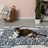 image:imageFurHaven ThermaNAP Self Warming Cat Mat Dog Bed for Crates with SelfWarming Technology for Cozy Rest Fully Machine Washable Small Plush Faux Fur GraySnow Leopard