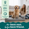 image:imageFurhaven Cooling Gel Dog Bed for Large Dogs w Removable Bolsters amp Washable Cover For Dogs Up to 95 lbs  Luxe Faux Fur amp Performance Linen Sofa  Charcoal JumboXLSilver Gray