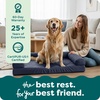 image:imageFurhaven Cooling Gel Dog Bed for Large Dogs w Removable Bolsters amp Washable Cover For Dogs Up to 95 lbs  Luxe Faux Fur amp Performance Linen Sofa  Charcoal JumboXLIron Gray