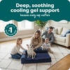 image:imageFurhaven Cooling Gel Dog Bed for Large Dogs w Removable Bolsters amp Washable Cover For Dogs Up to 95 lbs  Pinsonic Quilted Paw L Shaped Chaise  Titanium JumboXLPlush  Velvet Deep Sapphire