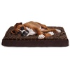 image:imageFurhaven Cooling Gel Dog Bed for Large Dogs w Removable Washable Cover For Dogs Up to 125 lbs  Ultra Plush Faux Fur amp Suede Mattress  Gray Jumbo PlusXXLUltra Plush Curly Faux Fur Cream