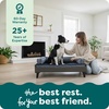 image:imageFurhaven Elevated Dog Bed Frame for 30 x 20 Medium Dog Beds Easy Assembly  MidCentury Modern Bed Frame  Gray Wash MediumVeneer Gray Wash