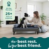 image:imageFurhaven Elevated Dog Bed Frame for 30 x 20 Medium Dog Beds Easy Assembly  MidCentury Modern Bed Frame  Gray Wash MediumVeneer Gray Wash
