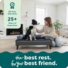 image:imageFurhaven Elevated Dog Bed Frame for 30 x 20 Medium Dog Beds Easy Assembly  MidCentury Modern Bed Frame  Gray Wash MediumVeneer Gray Wash
