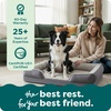 image:imageFurhaven Memory Foam Dog Bed for MediumSmall Dogs w Removable Bolsters amp Washable Cover For Dogs Up to 35 lbs  Plush amp Velvet Waves Perfect Comfort Sofa  Brownstone MediumGranite Gray Plush  Velvet Waves
