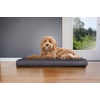 image:imageFurhaven Orthopedic Dog Bed  Puffy Quilted Foam Mattress with Removable Washable Cover Soft amp Supportive for Kennels amp Crates  Large RustGray