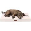 image:imageFurhaven Orthopedic Dog Bed  Puffy Quilted Foam Mattress with Removable Washable Cover Soft amp Supportive for Kennels amp Crates  Large RustWheat
