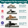 image:imageFurhaven Orthopedic Dog Bed for Large Dogs w Removable Bolsters amp Washable Cover For Dogs Up to 95 lbs  Plush amp Suede Sofa  Almondine JumboXLDeep Pool