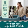 image:imageFurhaven Orthopedic Dog Bed for Large Dogs w Removable Bolsters amp Washable Cover For Dogs Up to 95 lbs  Plush amp Suede Sofa  Almondine JumboXLDeep Pool