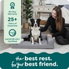image:imageFurhaven Orthopedic Dog Bed for Large Dogs w Removable Bolsters amp Washable Cover For Dogs Up to 95 lbs  Plush amp Suede Sofa  Almondine JumboXLGray