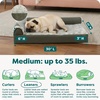 image:imageFurhaven Orthopedic Dog Bed for MediumSmall Dogs w Removable Bolsters amp Washable Cover For Dogs Up to 35 lbs  TwoTone Plush Faux Fur amp Suede L Shaped Chaise  Dark Sage MediumDark Sage