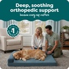 image:imageFurhaven Orthopedic Dog Bed for MediumSmall Dogs w Removable Bolsters amp Washable Cover For Dogs Up to 35 lbs  TwoTone Plush Faux Fur amp Suede L Shaped Chaise  Dark Sage MediumBluestone