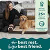 image:imageFurhaven Orthopedic Dog Bed for MediumSmall Dogs w Removable Bolsters amp Washable Cover For Dogs Up to 35 lbs  TwoTone Plush Faux Fur amp Suede L Shaped Chaise  Dark Sage MediumGray Almonds