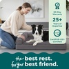 image:imageFurhaven Orthopedic Dog Bed for MediumSmall Dogs w Removable Bolsters amp Washable Cover For Dogs Up to 35 lbs  TwoTone Plush Faux Fur amp Suede L Shaped Chaise  Dark Sage MediumPlatinum Gray