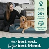 image:imageFurhaven Orthopedic Dog Bed for MediumSmall Dogs w Removable Bolsters amp Washable Cover For Dogs Up to 35 lbs  TwoTone Plush Faux Fur amp Suede L Shaped Chaise  Dark Sage MediumBluestone