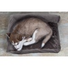 image:imageFurhaven Pillow Dog Bed for Large Dogs w Removable Bolsters amp Washable Cover  Plush amp Velvet L Shaped Chaise  Deep Sapphire JumboXLVelvet Platinum Gray