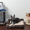 image:imageFurhaven Pillow Dog Bed for Large Dogs w Removable Bolsters amp Washable Cover  TwoTone Plush Faux Fur amp Suede L Shaped Chaise  Dark Sage JumboXLEspresso
