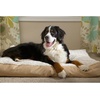 image:imageFurhaven Pillow Dog Bed for Large Dogs w Removable Washable Cover  Ultra Plush Faux Fur amp Suede Mattress  Cream JumboXLPlush Chocolate