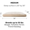 image:imageFurhaven Pillow Dog Bed for Large Dogs w Removable Washable Cover  Ultra Plush Faux Fur amp Suede Mattress  Cream JumboXLPlush Cream