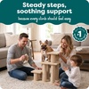 image:imageFurhaven Steady Paws MultiStep Pet Stairs for High Beds amp Sofas  Cream 3StepCream
