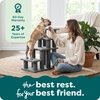 image:imageFurhaven Steady Paws MultiStep Pet Stairs for High Beds amp Sofas  Cream 3StepCream