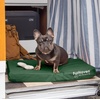 image:imageFurhaven WaterResistant Cooling Gel Dog Bed for Large Dogs w Removable Washable Cover For Dogs Up to 95 lbs  IndoorOutdoor Logo Print Oxford Polycanvas Mattress  Chestnut JumboXLForest