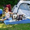 image:imageFurhaven WaterResistant Cooling Gel Dog Bed for Large Dogs w Removable Washable Cover For Dogs Up to 95 lbs  IndoorOutdoor Logo Print Oxford Polycanvas Mattress  Chestnut JumboXLBlue