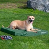 image:imageFurhaven WaterResistant Cooling Gel Dog Bed for Large Dogs w Removable Washable Cover For Dogs Up to 95 lbs  IndoorOutdoor Logo Print Oxford Polycanvas Mattress  Chestnut JumboXLForest