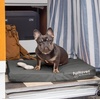 image:imageFurhaven WaterResistant Cooling Gel Dog Bed for Large Dogs w Removable Washable Cover For Dogs Up to 95 lbs  IndoorOutdoor Logo Print Oxford Polycanvas Mattress  Chestnut JumboXLStone Gray