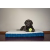 image:imageFurhaven WaterResistant Orthopedic Dog Bed for Large Dogs w Removable Quilt Top amp Washable Cover For Dogs Up to 95 lbs  IndoorOutdoor Quilt Top Convertible Mattress  Gray JumboXLSherpa  Paw Print Flannel Twilight Blue