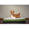 image:imageFurhaven WaterResistant Orthopedic Dog Bed for Large Dogs w Removable Quilt Top amp Washable Cover For Dogs Up to 95 lbs  IndoorOutdoor Quilt Top Convertible Mattress  Gray JumboXLSherpa  Paw Print Flannel Jade Green