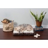 image:imageFurhaven WaterResistant Orthopedic Dog Bed for Large Dogs w Removable Quilt Top amp Washable Cover For Dogs Up to 95 lbs  IndoorOutdoor Quilt Top Convertible Mattress  Gray JumboXLSherpa  Paw Print Flannel Dark Espresso