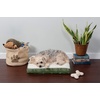 image:imageFurhaven WaterResistant Orthopedic Dog Bed for Large Dogs w Removable Quilt Top amp Washable Cover For Dogs Up to 95 lbs  IndoorOutdoor Quilt Top Convertible Mattress  Gray JumboXLSherpa  Paw Print Flannel Jade Green