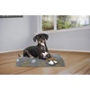 image:imageFurhaven WaterResistant Orthopedic Dog Bed for LargeMedium Dogs w Removable Washable Cover For Dogs Up to 55 lbs  IndoorOutdoor Logo Print Oxford Polycanvas Mattress  Chestnut LargeDlx Mat  Garden Print Iron Gate