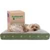 Paw Print Jade Green