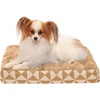 Plush & Kilim (Pyramid Latte)
