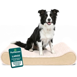 image:imageFurHaven Orthopedic Dog Bed for LargeMedium Dogs Luxe Lounger Contour Mattress with MedicalGrade Solid Orthopedic Foam for Joint Support Removable Washable Cover Large Plush Suede Cream