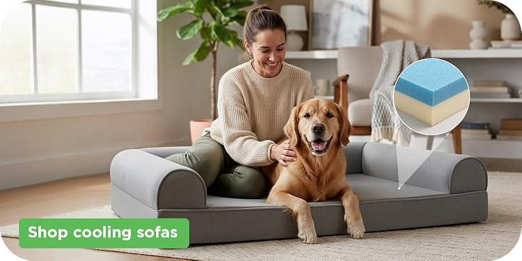FurHaven | Create a Cozy Haven for Your Furry Family Members,Help Your Pets Relax, Recover, and Rest Better