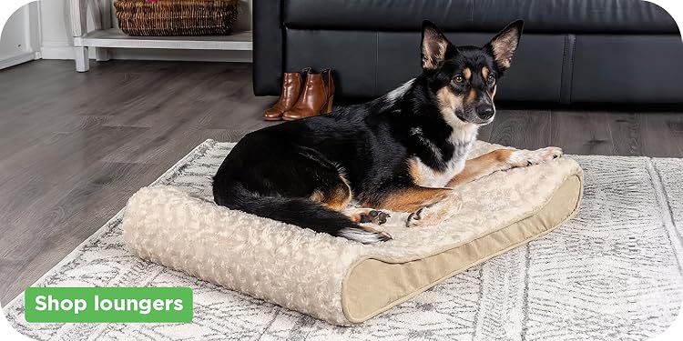FurHaven | Create a Cozy Haven for Your Furry Family Members,Help Your Pets Relax, Recover, and Rest Better