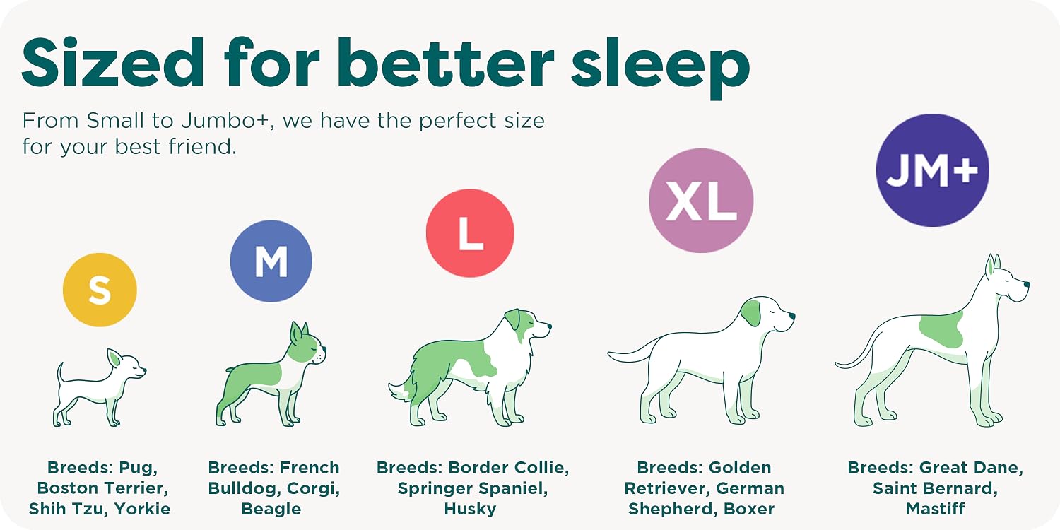 FurHaven | Create a Cozy Haven for Your Furry Family Members,Help Your Pets Relax, Recover, and Rest Better